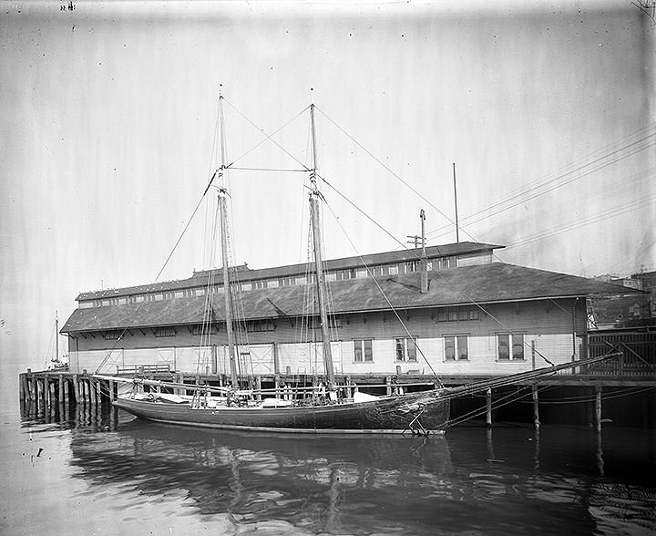#74 Schooner, Thomas F. Bayard, at Tacoma, 1905