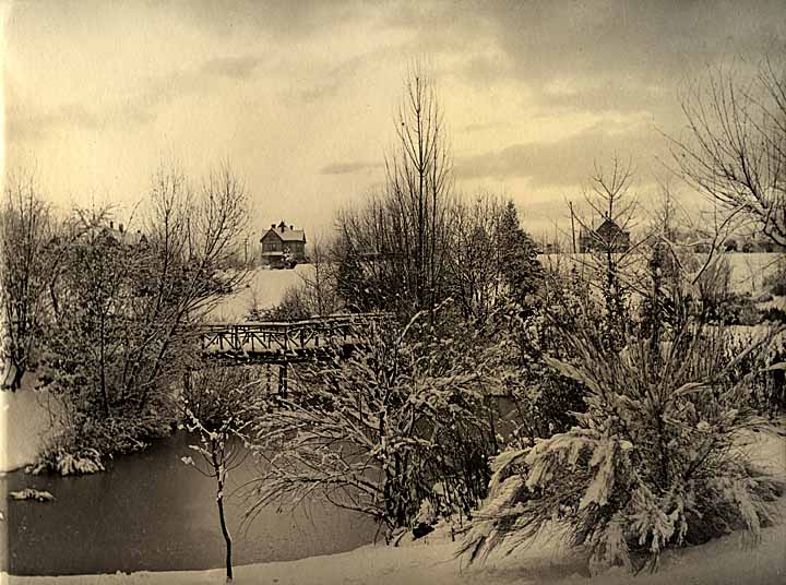 #83 Wright Park snow scene, Tacoma, 1905