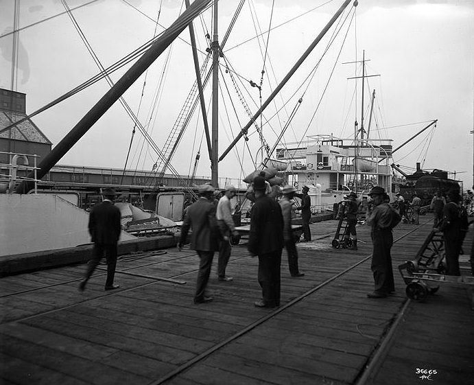 #38 Longshoremen Unloading the S.S. Maricopa at a Tacoma Dock, 1917