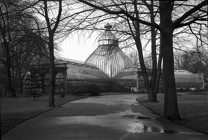 #76 Wright Park hothouse [Seymour Botanical Conservatory, Tacoma, 1927
