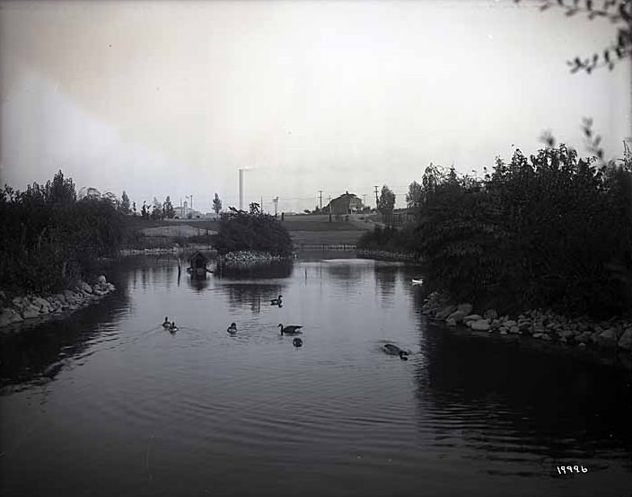 #56 At Point Defiance Park, Tacoma, Scenic, September 15, 1910