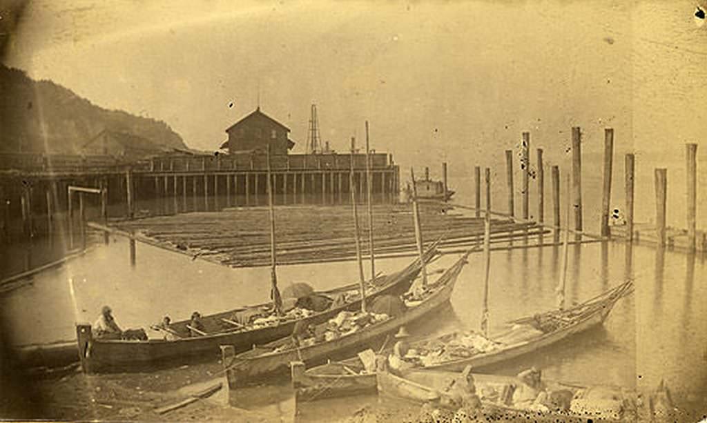 #79 Canoes at Tacoma Waterfront, on Commencement Bay, 1888