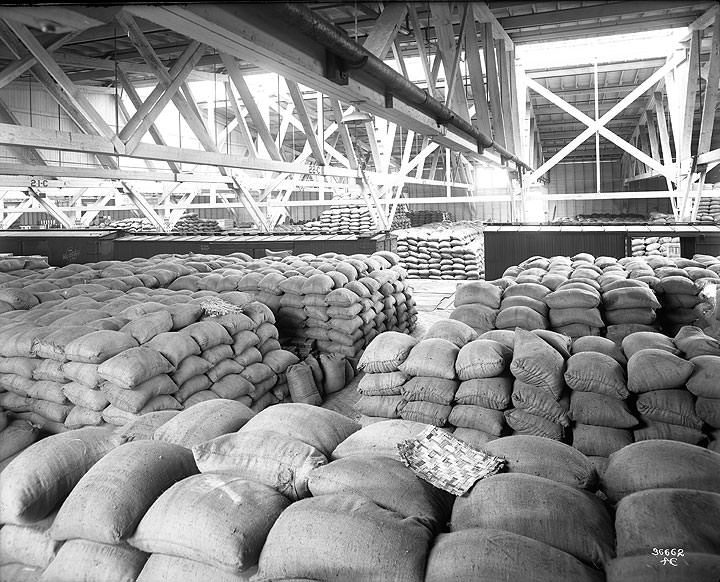 #43 3,000 Tons of Rice in Chicago, Milwaukee & St. Paul Railway Dock Warehouse, Tacoma, 1917