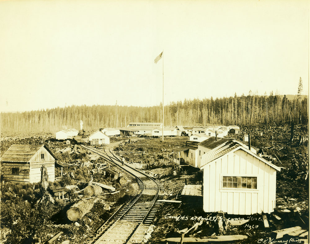 #115 Camp No.3 St Paul and Tacoma Lbr Co., 1908