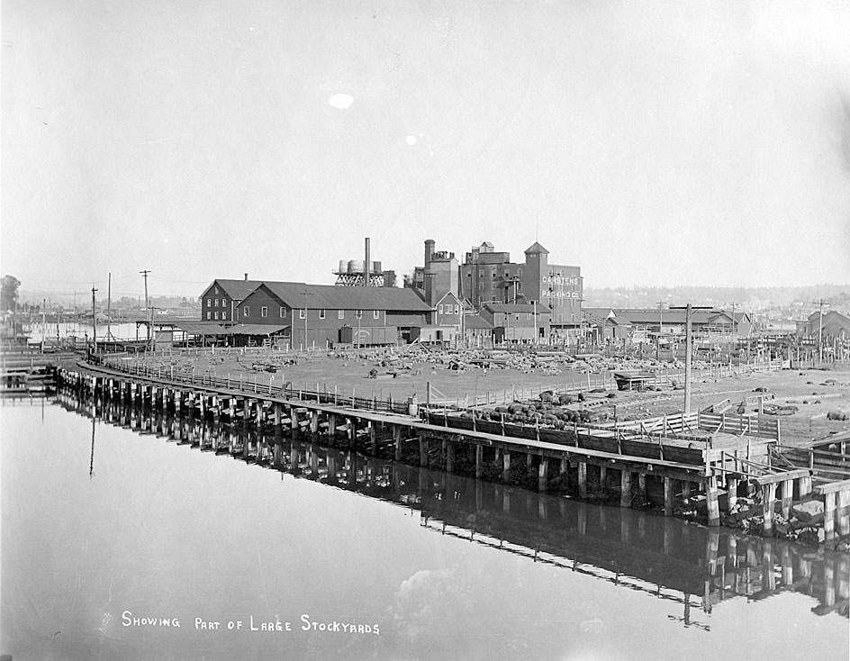 #118 Showing part of large stockyards Carstens Packing Co., Tacoma, 1909