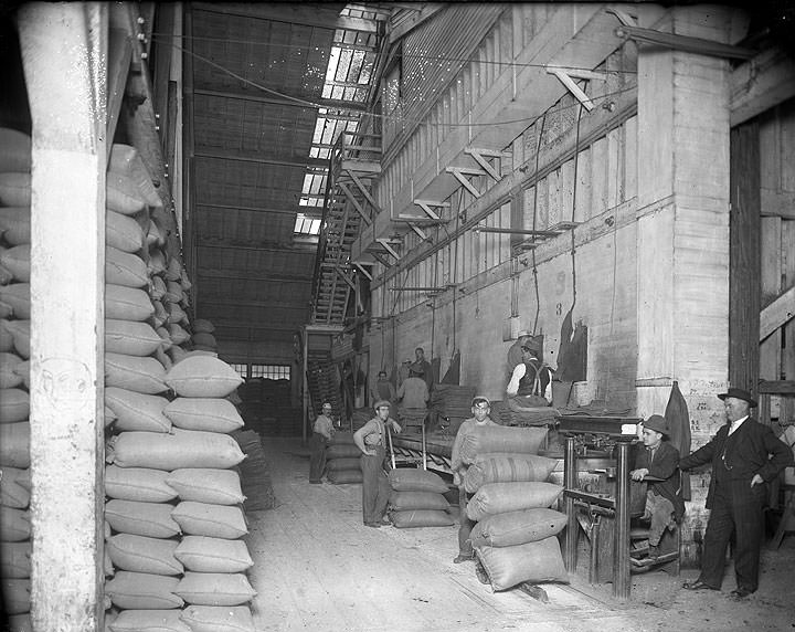 #144 Workers at Pyramid Flour Mill, Tacoma, 1914
