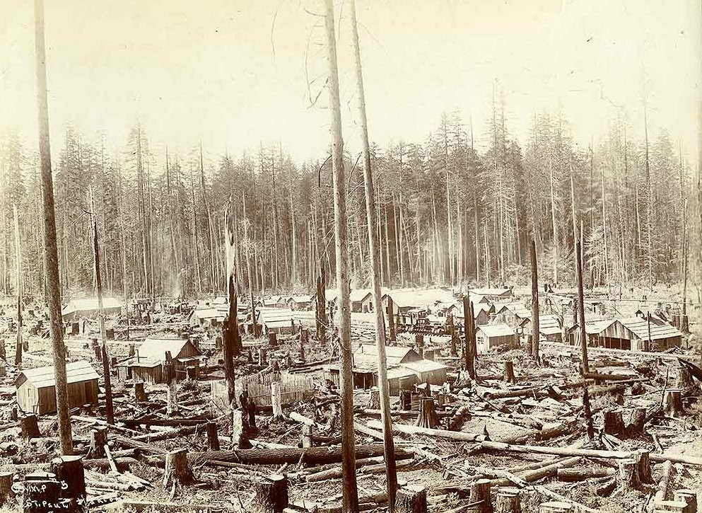 #155 Camp 5 above Patterson Landing, Voigt Creek, 1900