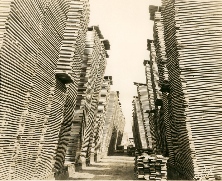 #130 Shaffer Box – Lbr Piles, 1928