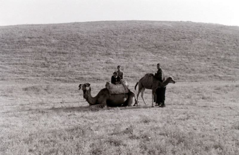 #29 Near Tangier, 1960s