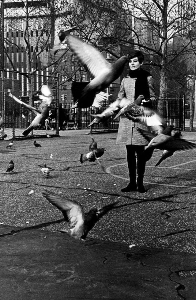 Fabulous Photos of Audrey Hepburn During the filming of &;Wait Until Dark (1967)&; Movies &; TV