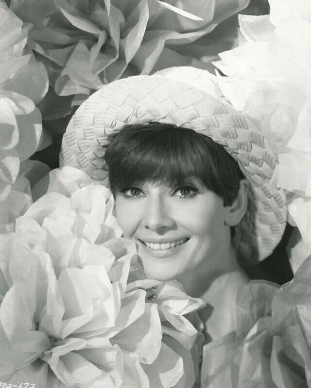 #25 Fabulous Photos of Audrey Hepburn During the filming of ‘Wait Until Dark (1967)’ #25 Movies & TV
