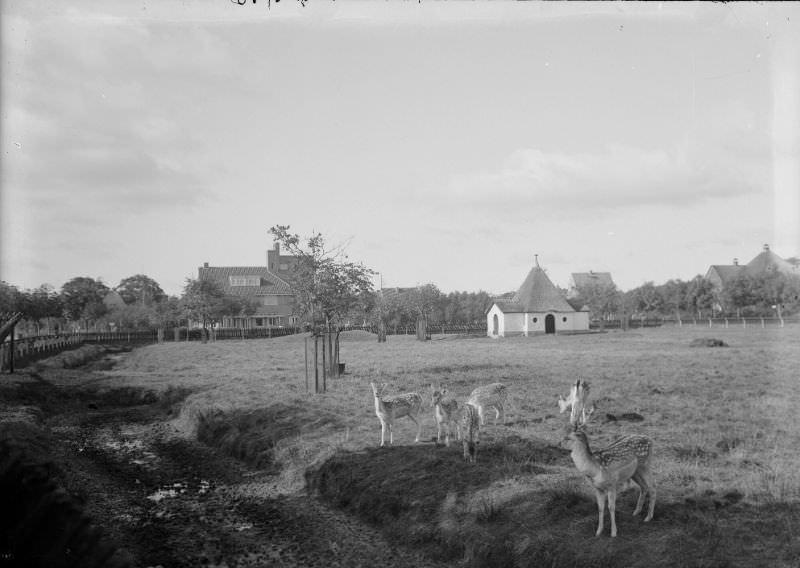 #11 The Deer Camp in a westerly direction, with “Hotel Deer Camp” in the offing, 1914