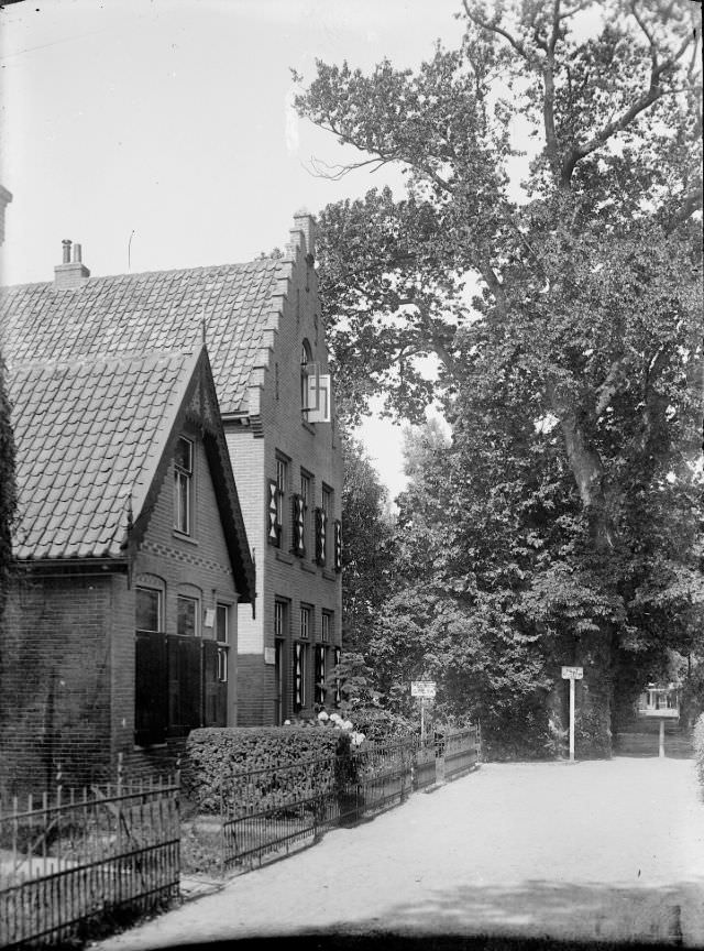 #15 The narrow path with guest house “Greta” and the “Adam and Eve tree”, circa 1914