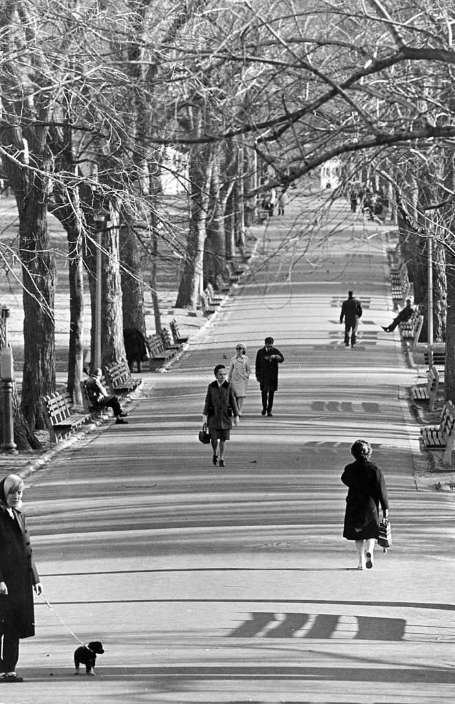 #113 People walk through Boston Common on March 21, 1966.