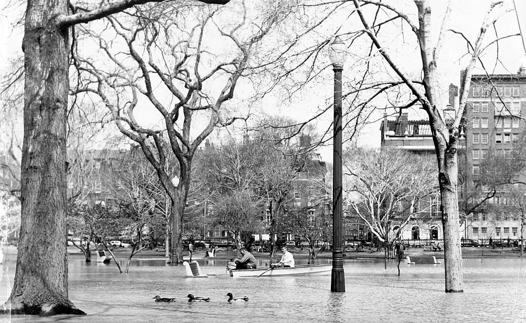 #76 Swan Boat crewmen Gil McIntyre, of Brighton, and Kevin Sullivan, of West Roxbury, row through Boston’s Public Garden on April 21, 1960,