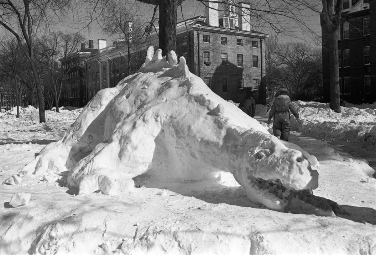 #27 A dinosaur sculpted from snow was built in Harvard Yard in Cambridge.