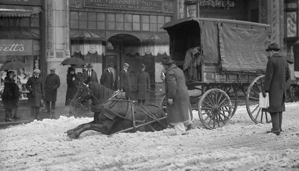 #2 Horse pulling wagon slips in snow, 1910s
