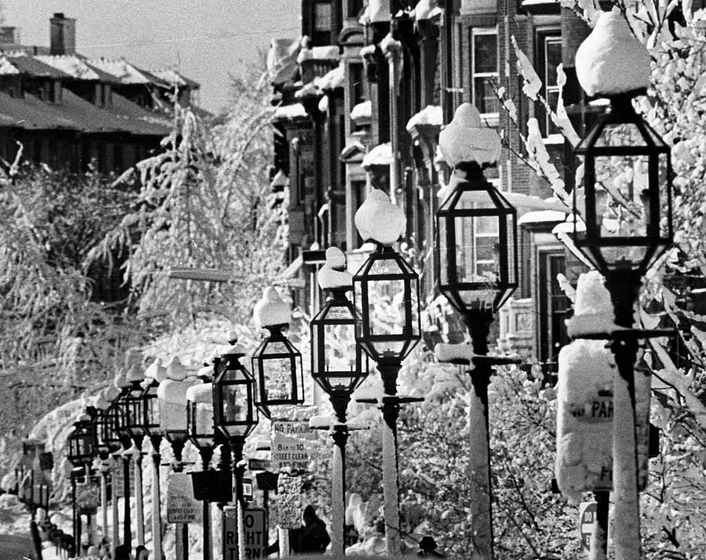 #127 The old-fashioned street lamps along Commonwealth Avenue in Boston are covered in snow, 1977.