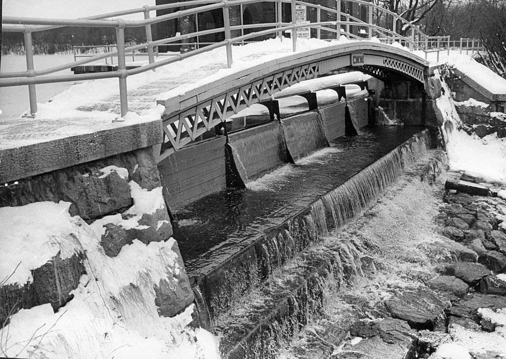 #141 A waterfall in Weston after a snowfall.