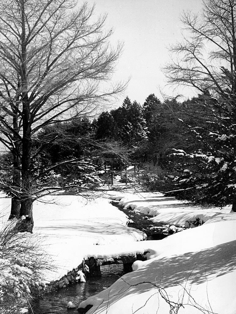 #158 The Arnold Arboretum in Boston is covered in snow on March 30, 1970.