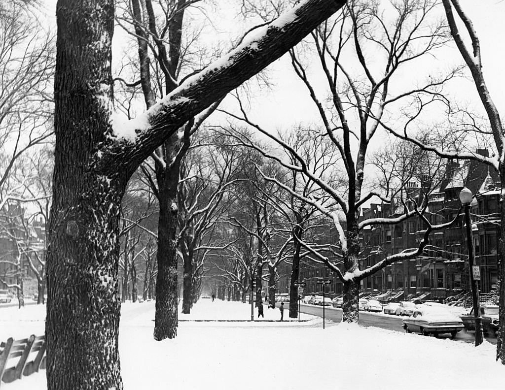 #46 Snow covers the street and trees on Commonwealth Avenue in Boston on Dec. 6, 1964, following a weekend storm that dumped five inches of snow on the city.