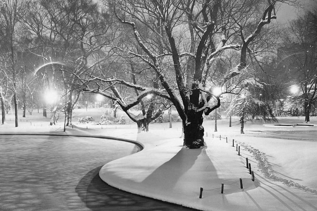#71 The Public Garden in Boston is covered with untouched snowed following a storm, 1951.