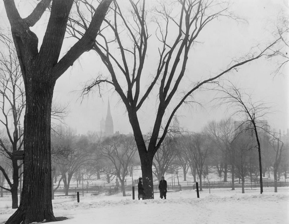 #99 Winter snow scene in Boston Common, children with sled in front of large tree, Boston, Massachusetts, 1906.