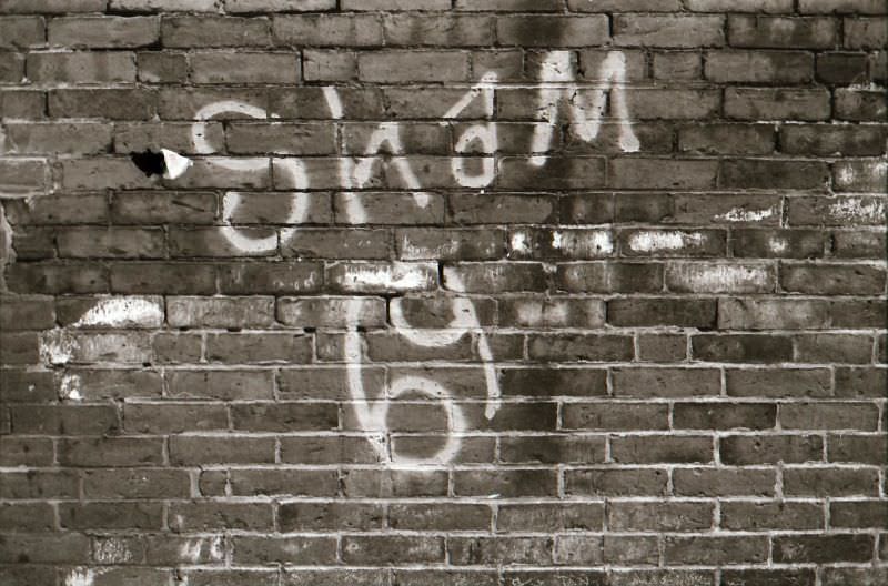 #26 Sham 69, Boston, 1979