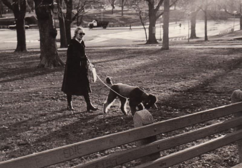 #1 Fur coat lady with poodle, Boston, 1975