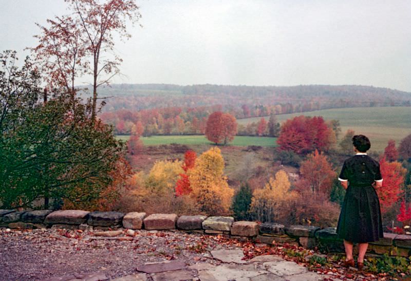 #1 Looking across the Thompson Creek valley from our driveway, October 1960
