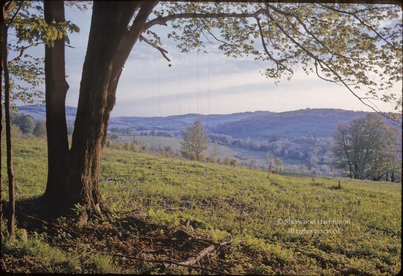 #10 The Great Brook Valley near South New Berlin, New York, in June of 1961