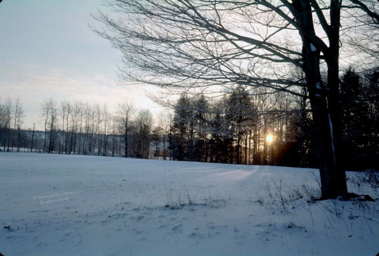 #19 Meadow near Oxford, January 1962