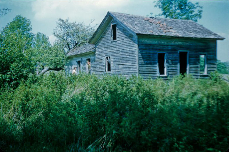 #20 An abandoned house in the Chenango County high country, June 1962