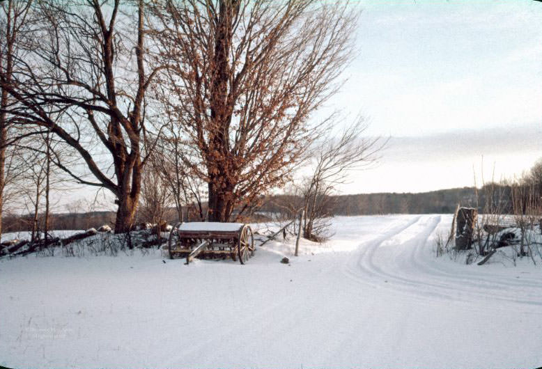 #24 Winter on the hilltop, January 1962