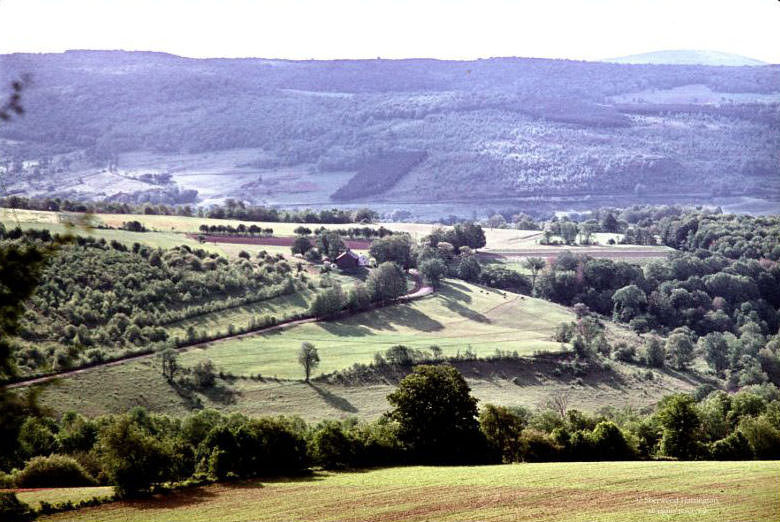 #39 Looking east over the Chenango Valley from Tinker Ridge, June 1965