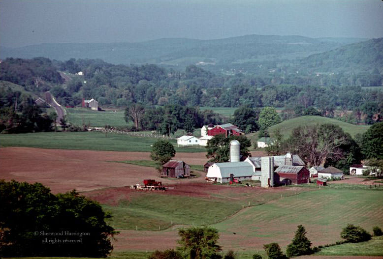 #40 Looking toward Oxford from the old O&W trackbed on the East side of the Chenango Valley, June 1965