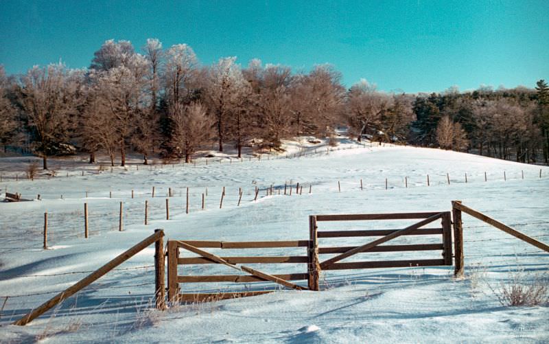 #45 Gate on Tanner Hill, Chenango County, New York, early 1966