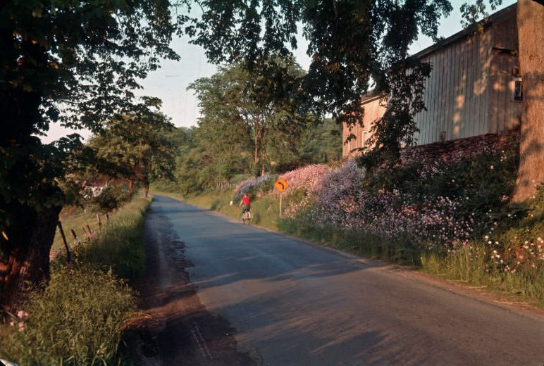 #5 A summer evening, 1961