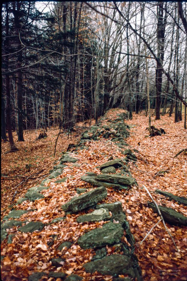 #50 Near White Store, NY, 1967