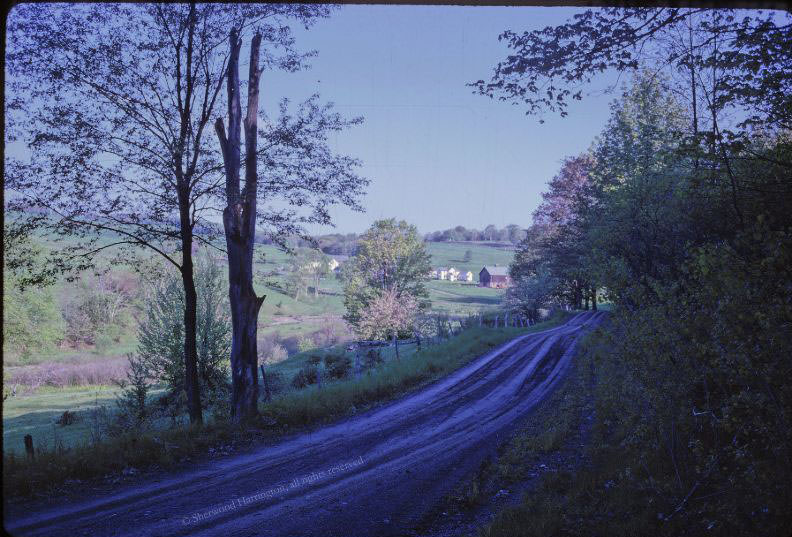 #6 Dirt road near the Dyer cemetery, June 1961