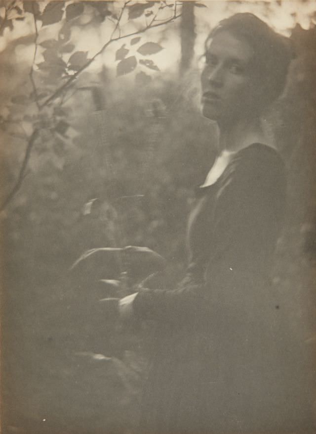 #19 Edge of the woods – evening, 1900