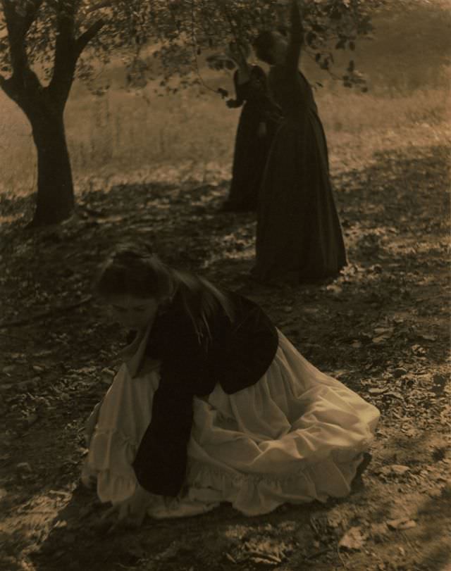 #23 The orchard, Newark, Ohio, 1902