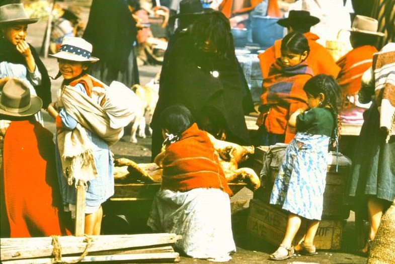 #17 Ecuador. Old lady in black has just unloaded smoked pig from stooped back, children helping, 1959