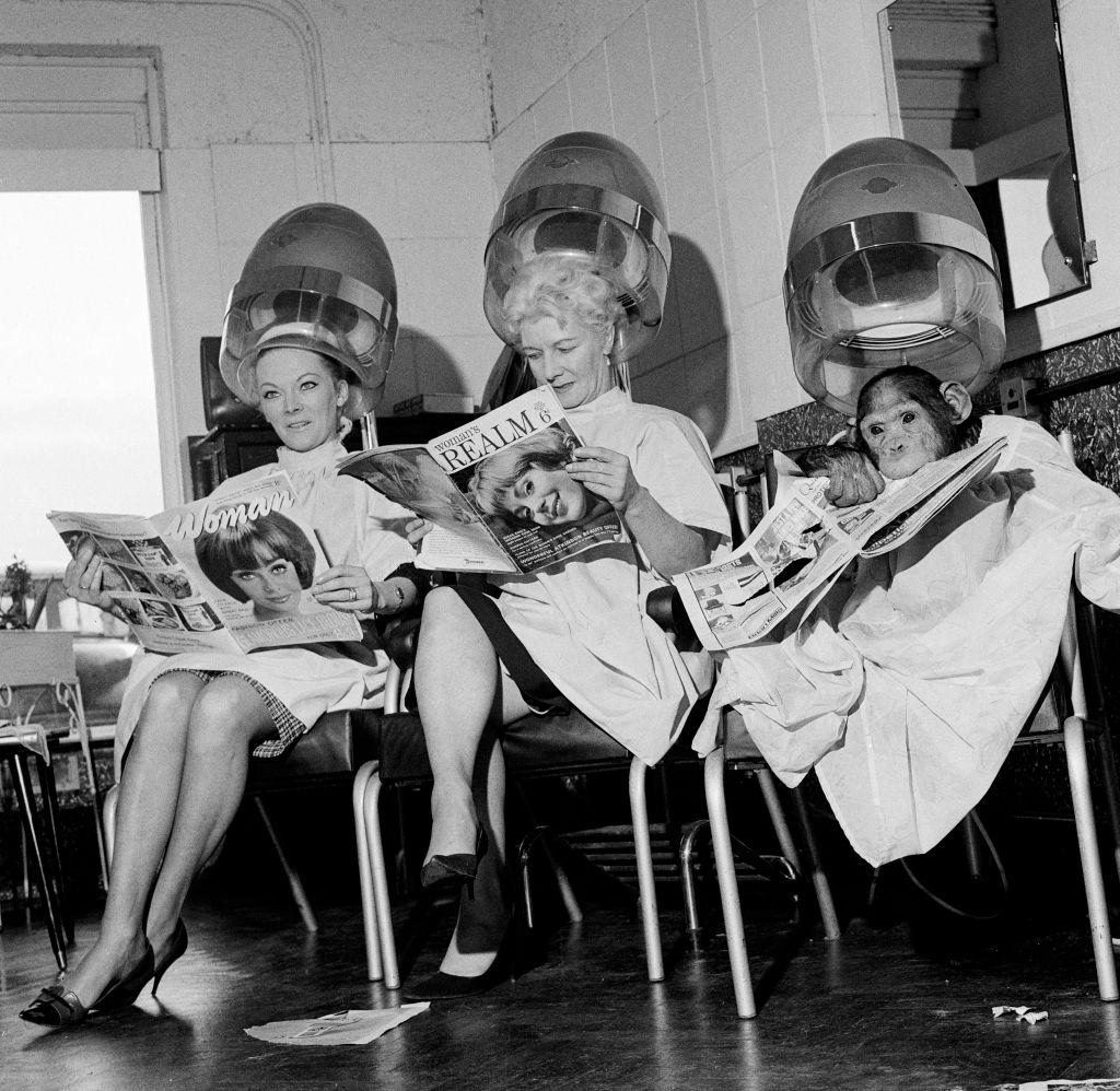 #19 Two women and a chimpanzee reading magazines under the dryers at a hairdressing salon, 1964.