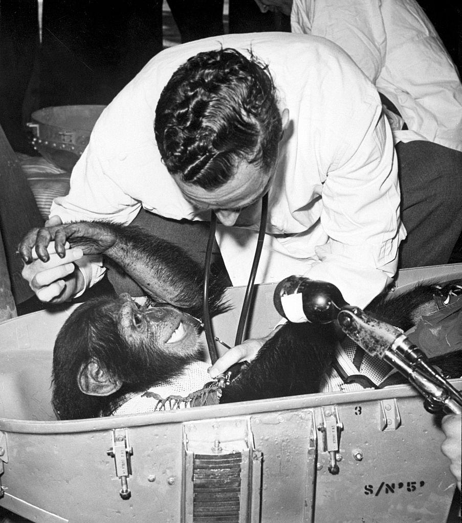 #9 Ham reaches for the hand of US Air Force veterinarian, Richard E. Benson, upon his arrival at the recovery ship after his historic ride through space on Mercury-Redstone 2 in 1961.