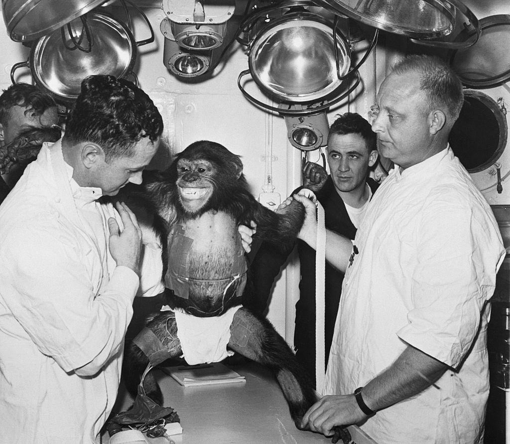 #10 Doctors examine Ham the chimpanzee after his space flight in 1961.