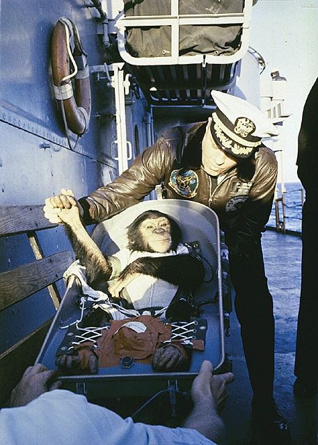 #17 Chimpanzee Astronaut Ham recovered at sea by USS Donner after Flight