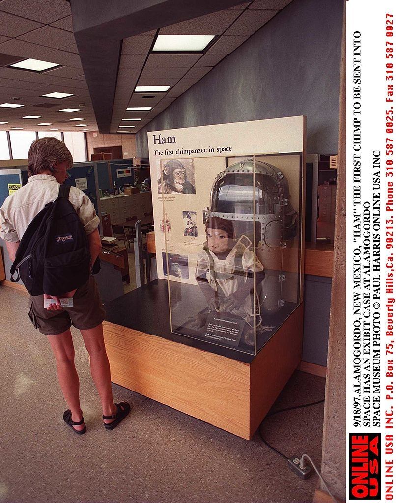 #3 Ham blasted into space has his own exibit case at The Alamogordo Space Museum