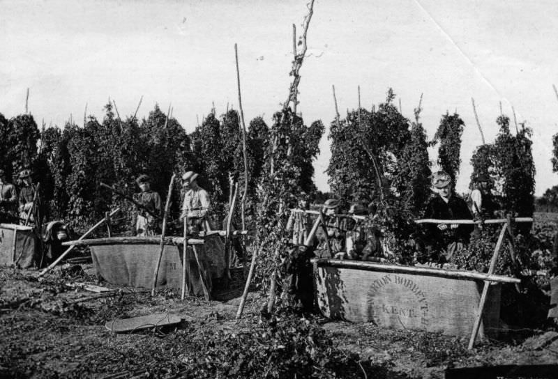 #2 Hopfield, 1900.