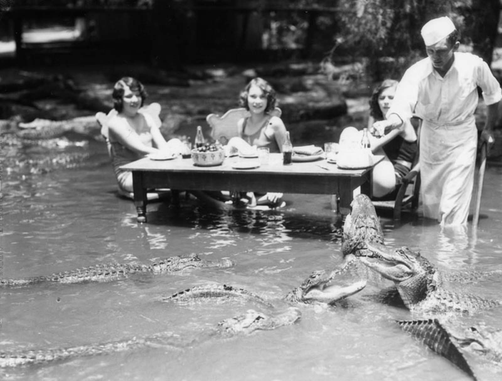 #3 In the unregulated park, people encountered alligators without fences, gates or grates.